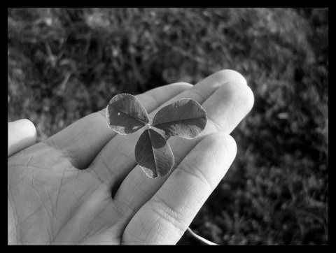 Kliknij na zdjęcie, żeby zobaczyć w pełnych wymiarach