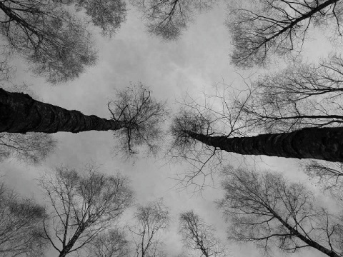 Kliknij na zdjęcie, żeby zobaczyć w pełnych wymiarach