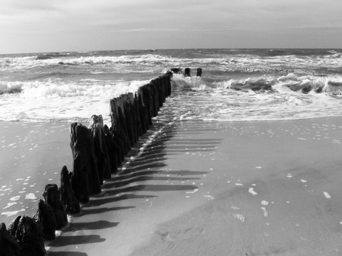 Kliknij na zdjęcie, żeby zobaczyć w pełnych wymiarach