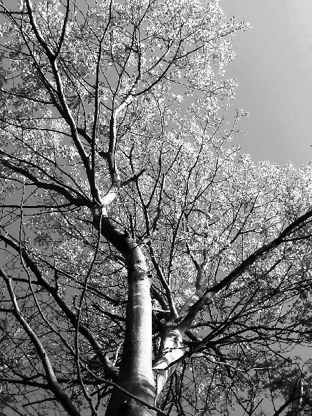 Kliknij na zdjęcie, żeby zobaczyć w pełnych wymiarach