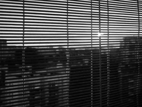 Kliknij na zdjęcie, żeby zobaczyć w pełnych wymiarach