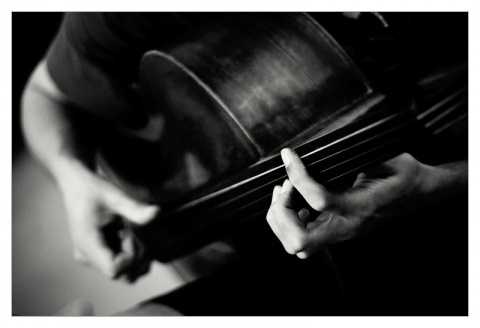 Kliknij na zdjęcie, żeby zobaczyć w pełnych wymiarach