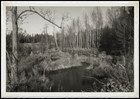 Kliknij na zdjęcie, żeby zobaczyć w pełnych wymiarach