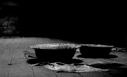 Kliknij na zdjęcie, żeby zobaczyć w pełnych wymiarach