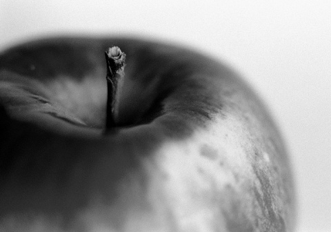 Kliknij na zdjęcie, żeby zobaczyć w pełnych wymiarach