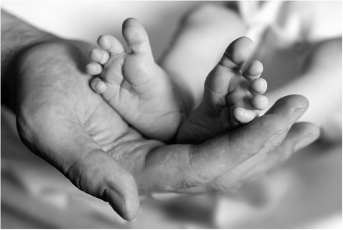 Kliknij na zdjęcie, żeby zobaczyć w pełnych wymiarach