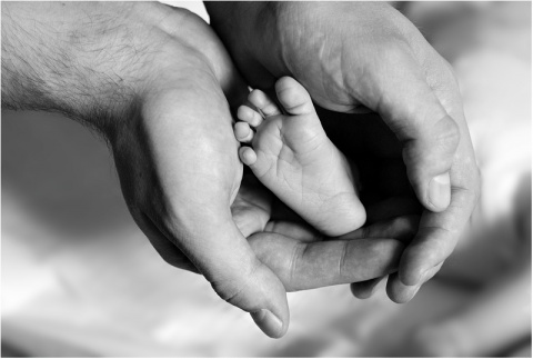 Kliknij na zdjęcie, żeby zobaczyć w pełnych wymiarach