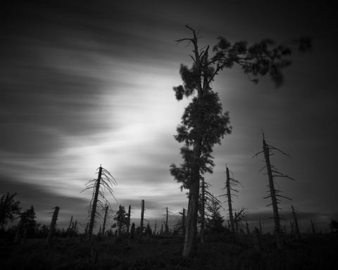 Kliknij na zdjęcie, żeby zobaczyć w pełnych wymiarach