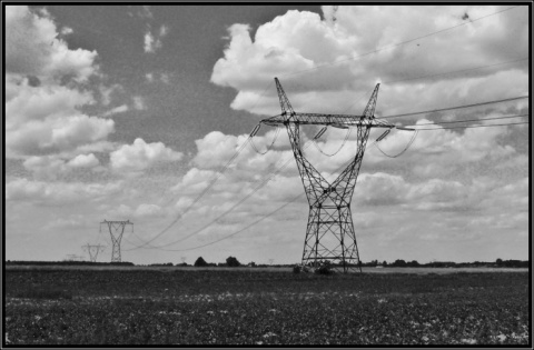 Kliknij na zdjęcie, żeby zobaczyć w pełnych wymiarach