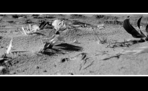 Kliknij na zdjęcie, żeby zobaczyć w pełnych wymiarach