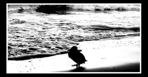 Kliknij na zdjęcie, żeby zobaczyć w pełnych wymiarach