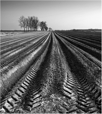 Kliknij na zdjęcie, żeby zobaczyć w pełnych wymiarach