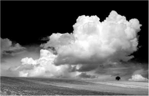 Kliknij na zdjęcie, żeby zobaczyć w pełnych wymiarach