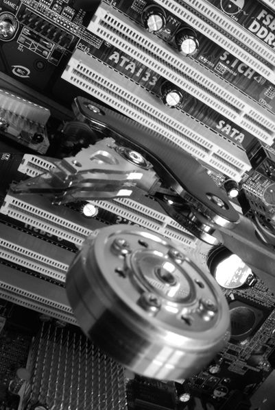 Kliknij na zdjęcie, żeby zobaczyć w pełnych wymiarach