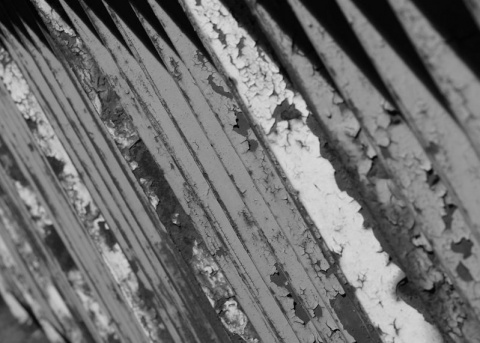 Kliknij na zdjęcie, żeby zobaczyć w pełnych wymiarach