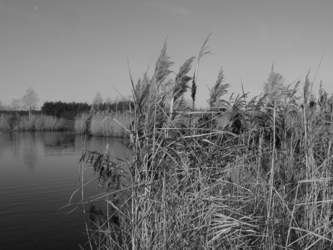 Kliknij na zdjęcie, żeby zobaczyć w pełnych wymiarach