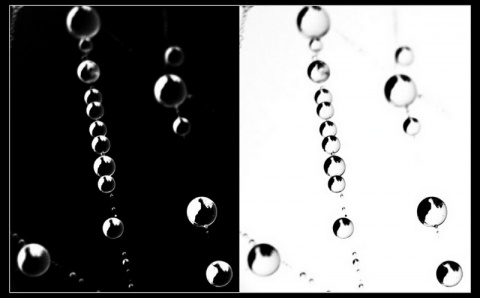 Kliknij na zdjęcie, żeby zobaczyć w pełnych wymiarach