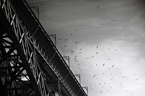 Kliknij na zdjęcie, żeby zobaczyć w pełnych wymiarach