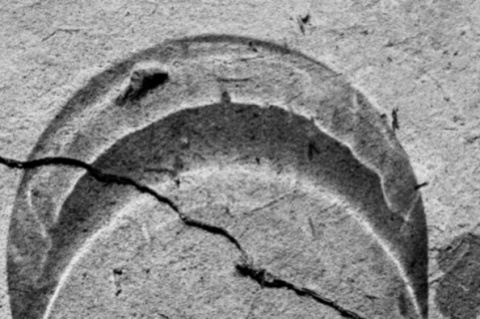 Kliknij na zdjęcie, żeby zobaczyć w pełnych wymiarach