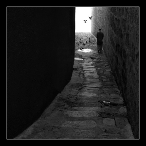 Kliknij na zdjęcie, żeby zobaczyć w pełnych wymiarach