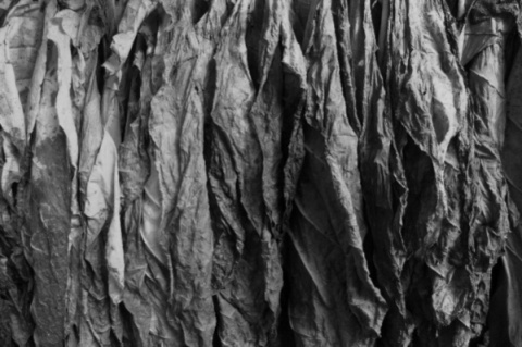 Kliknij na zdjęcie, żeby zobaczyć w pełnych wymiarach