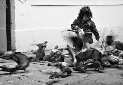 Kliknij na zdjęcie, żeby zobaczyć w pełnych wymiarach