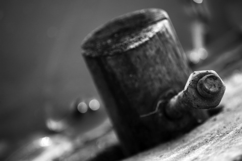 Kliknij na zdjęcie, żeby zobaczyć w pełnych wymiarach