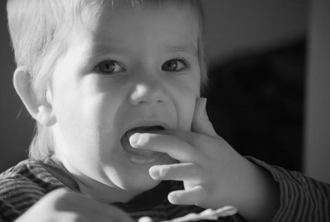 Kliknij na zdjęcie, żeby zobaczyć w pełnych wymiarach