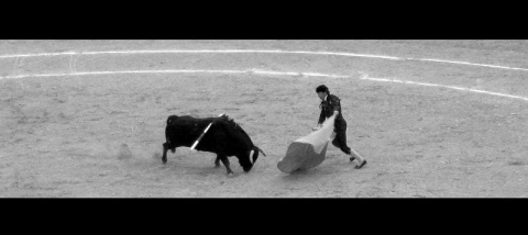 Kliknij na zdjęcie, żeby zobaczyć w pełnych wymiarach