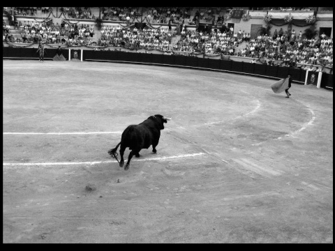 Kliknij na zdjęcie, żeby zobaczyć w pełnych wymiarach