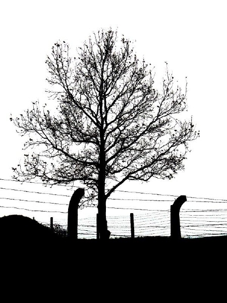 Kliknij na zdjęcie, żeby zobaczyć w pełnych wymiarach