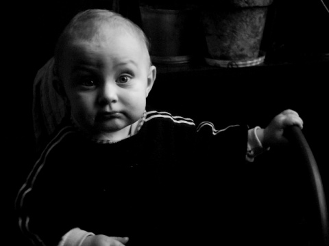 Kliknij na zdjęcie, żeby zobaczyć w pełnych wymiarach