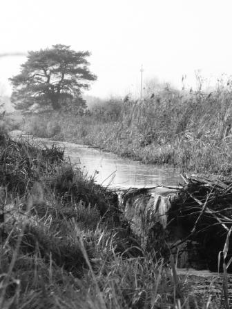 Kliknij na zdjęcie, żeby zobaczyć w pełnych wymiarach