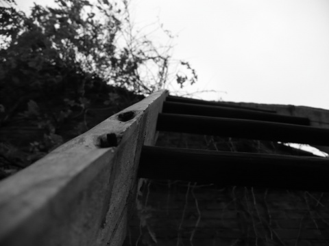 Kliknij na zdjęcie, żeby zobaczyć w pełnych wymiarach