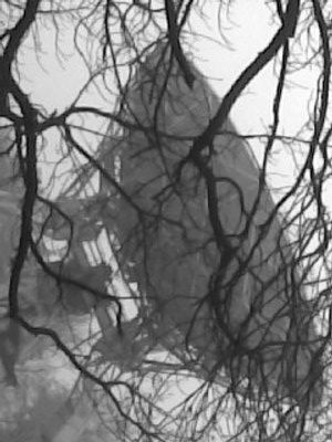 Kliknij na zdjęcie, żeby zobaczyć w pełnych wymiarach