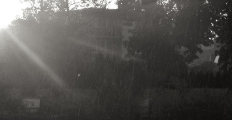 Kliknij na zdjęcie, żeby zobaczyć w pełnych wymiarach