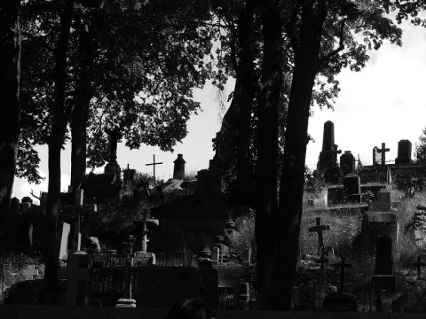 Kliknij na zdjęcie, żeby zobaczyć w pełnych wymiarach