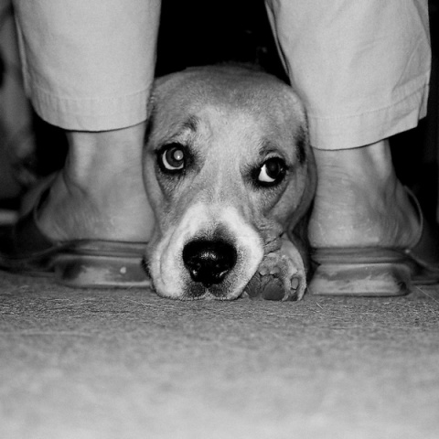 Kliknij na zdjęcie, żeby zobaczyć w pełnych wymiarach