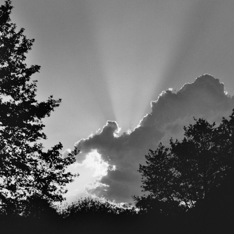 Kliknij na zdjęcie, żeby zobaczyć w pełnych wymiarach