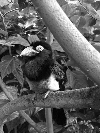 Kliknij na zdjęcie, żeby zobaczyć w pełnych wymiarach