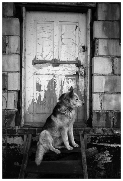 Kliknij na zdjęcie, żeby zobaczyć w pełnych wymiarach