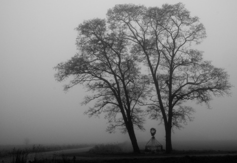Kliknij na zdjęcie, żeby zobaczyć w pełnych wymiarach