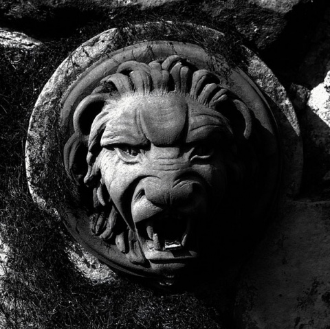 Kliknij na zdjęcie, żeby zobaczyć w pełnych wymiarach