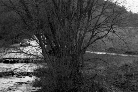 Kliknij na zdjęcie, żeby zobaczyć w pełnych wymiarach