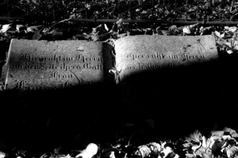 Kliknij na zdjęcie, żeby zobaczyć w pełnych wymiarach