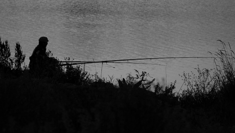 Kliknij na zdjęcie, żeby zobaczyć w pełnych wymiarach