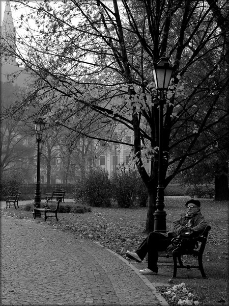 Kliknij na zdjęcie, żeby zobaczyć w pełnych wymiarach