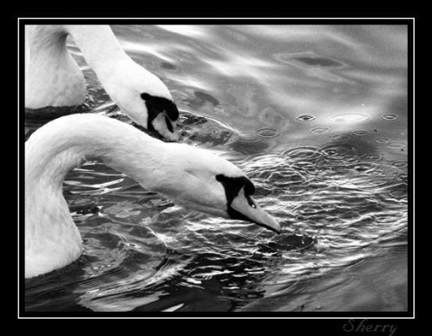 Kliknij na zdjęcie, żeby zobaczyć w pełnych wymiarach