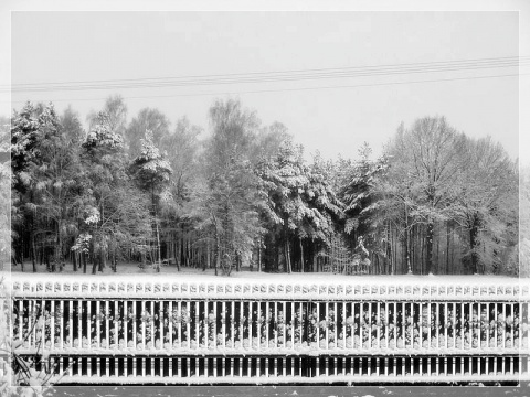 Kliknij na zdjęcie, żeby zobaczyć w pełnych wymiarach