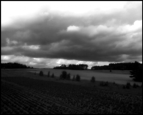 Kliknij na zdjęcie, żeby zobaczyć w pełnych wymiarach